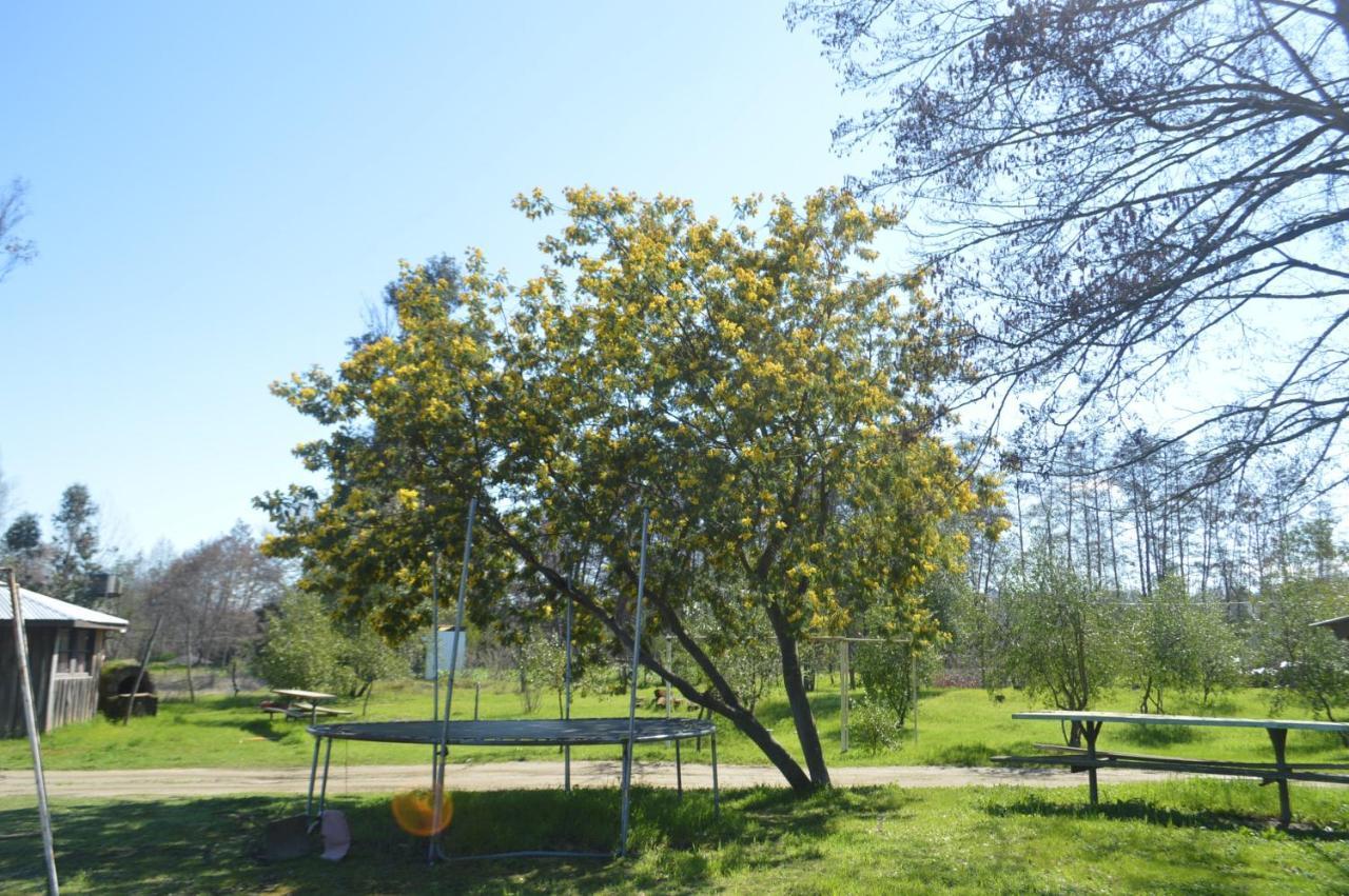 Coyunche Cabanas Y Camping Laja & San Rosendo Zewnętrze zdjęcie